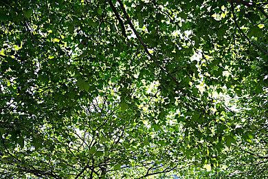 《喋血复仇》新DLC将于8月30日上线 新战役新角色